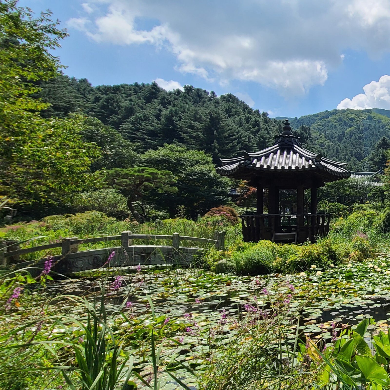 JOUR 10 - SEOUL OU EXCURSION DE NAMI À DANYANG : SPLENDEUR DE L'EST