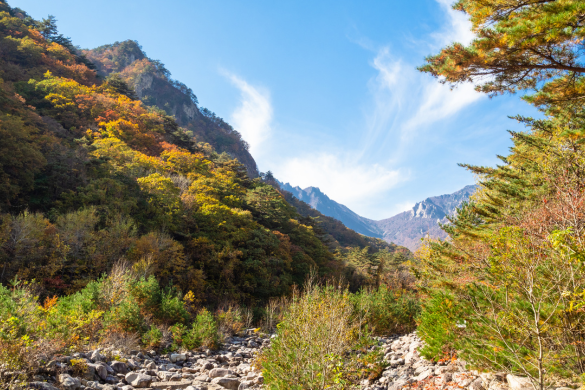 Seoraksan Mountain