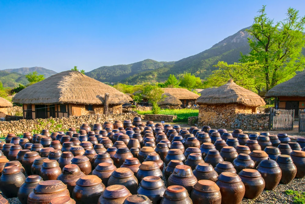 JOUR 13 - SUNCHEON - Un souffle de nature et de recueillement