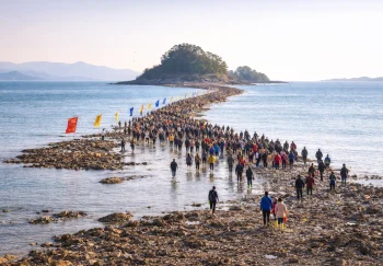 Festival de Jindo