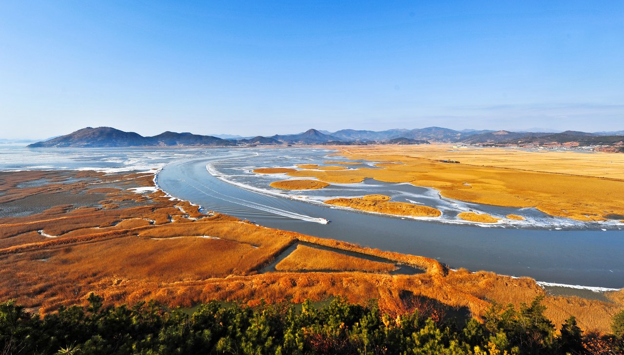 JOUR 13 - SUNCHEON - Un retour à la nature