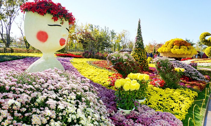 Voyager à Suncheon : au coeur de l'art et du patrimoine