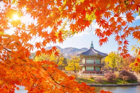 Automne en Corée du Sud : feuillages, temples et randonnées inoubliables