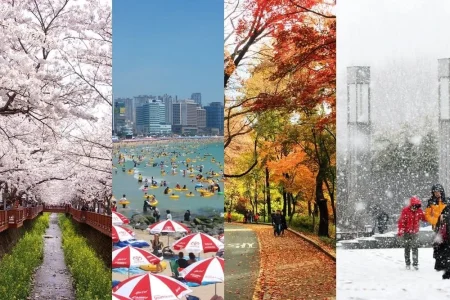 Vêtements en Corée du Sud : le guide indispensable saison par saison