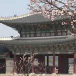 Visiter le palais Gyeongbokgung à Séoul : histoire, anecdotes et conseils pour une visite inoubliable